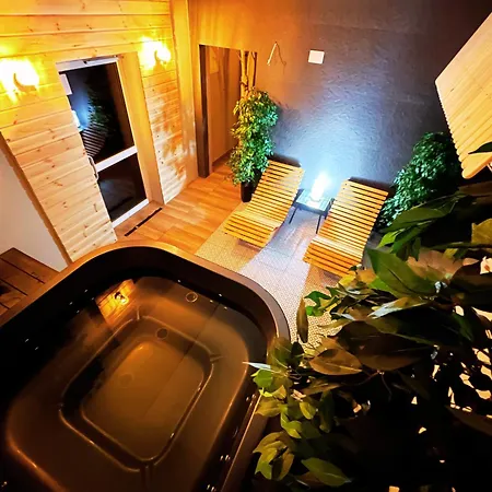 Good Night Noclegi & Strefa Wellness (Adults Only) 3* Czechowice-Dziedzice